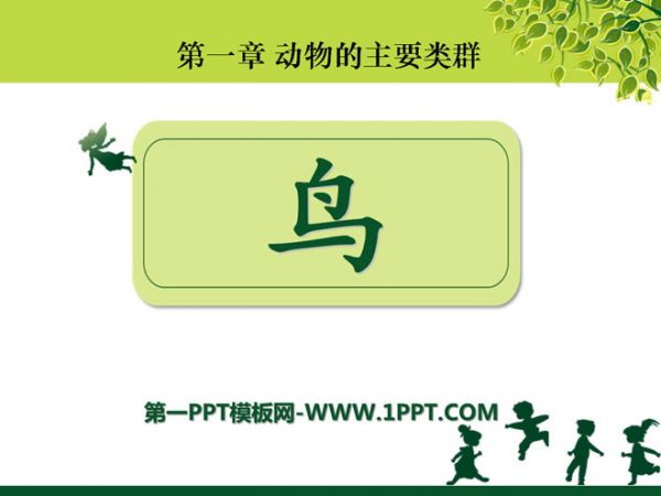 《鸟》动物的主要类群PPT课件