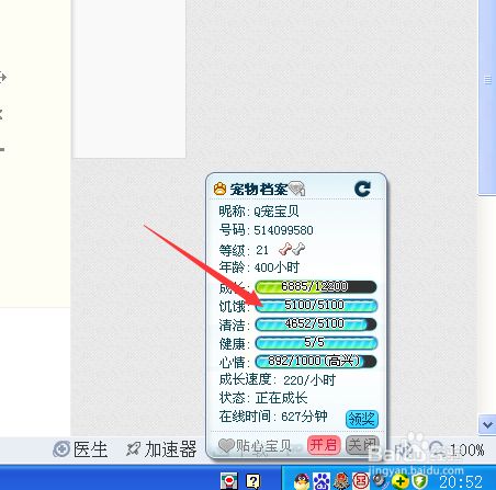QQ宠物：[2]如何喂食？
