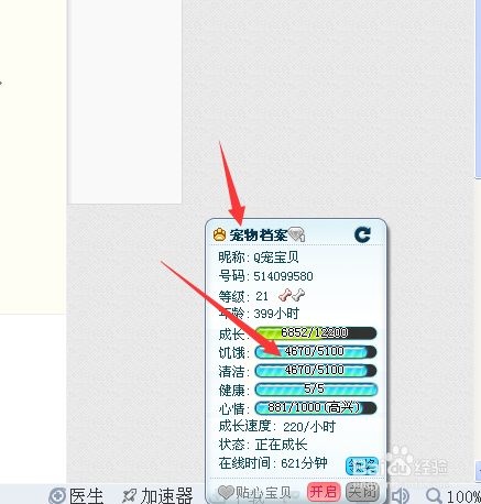 QQ宠物：[2]如何喂食？
