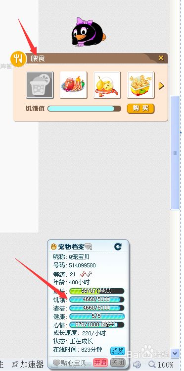 QQ宠物：[2]如何喂食？