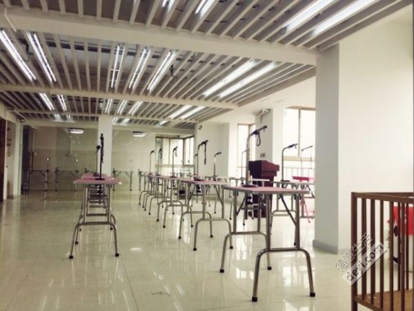 学校实操教师