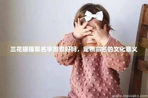三花猫猫取名字寓意好吗，宠物命名的文化意义