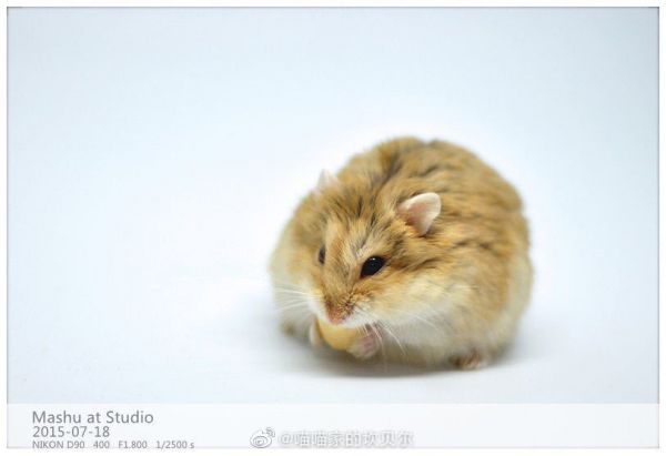 麻薯