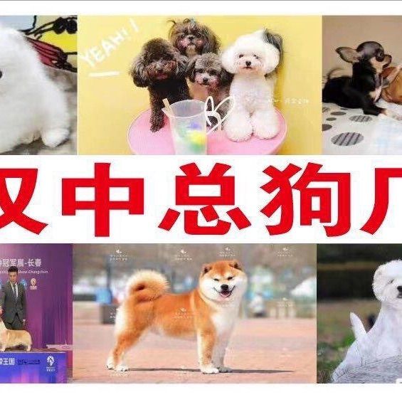 店主头像