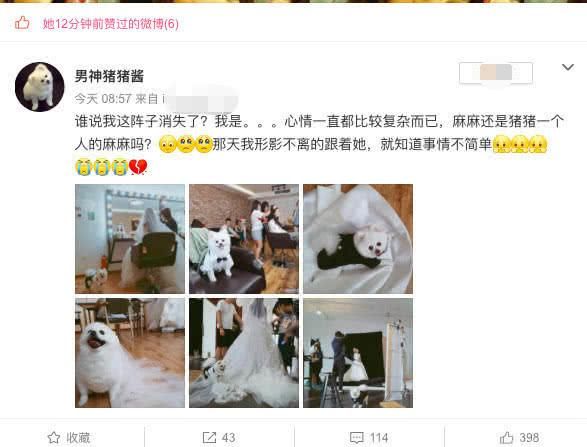 张馨予用自家宠物狗微博公布婚纱拍摄现场照片，网友称“太寒酸”