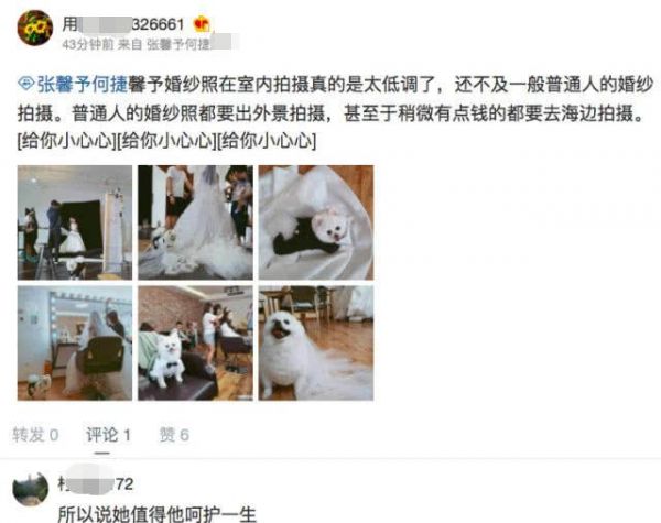 张馨予用自家宠物狗微博公布婚纱拍摄现场照片，网友称“太寒酸”