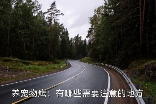 养宠物鹰：有哪些需要注意的地方