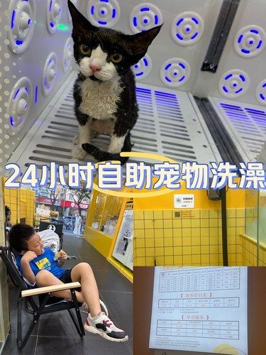24小时自助扫码宠物洗澡
