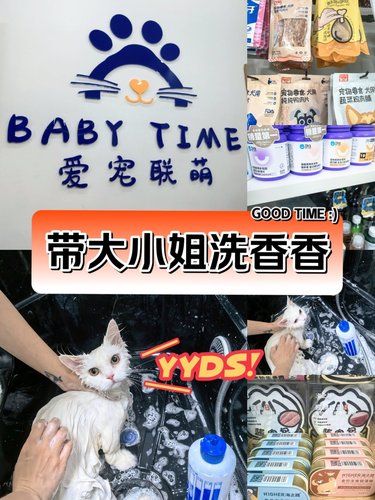 在嘉定终于被我找到宝藏宠物生活馆～