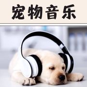 宠物音乐 – 让宠物猫和宠物狗放松的催眠曲，小狗和小猫的休息，轻松听的音乐--KANJIAN疗愈-静心助眠-佚名