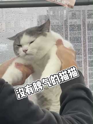 撸宠宠物医生一聂宁:累了,地球快爆炸吧 从来不养猫的人突然想养猫,从遇到一个好欺负的猫开始。#养猫 #真香 #养猫真香现场