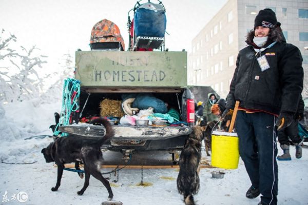 美国雪橇犬大赛，世界上最艰难狗狗赛事，零下20度跑要跑9天