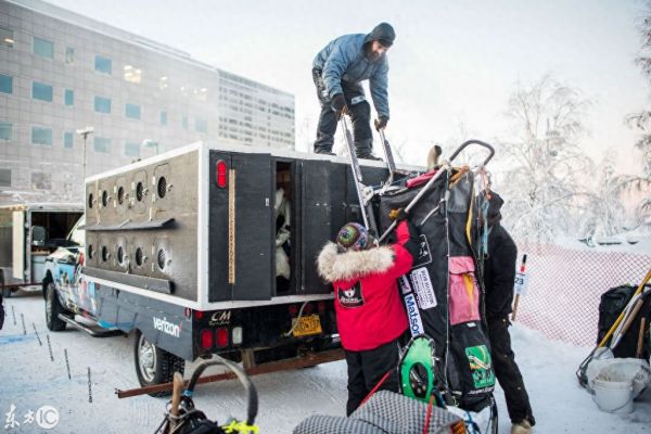 美国雪橇犬大赛，世界上最艰难狗狗赛事，零下20度跑要跑9天