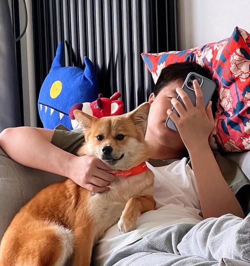 幼犬抱着出门，这样做好不好？（为宠物的安全着想，还是要慎重考虑）