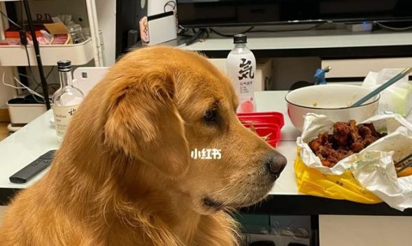 狗狗能否吃辣（辣味食物对狗狗的影响及安全饮食建议）