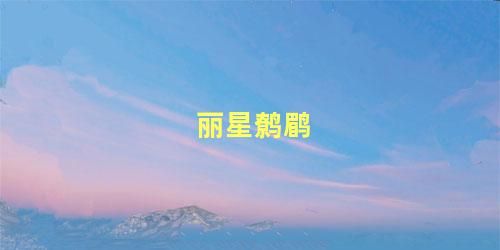 丽星鹩鹛
