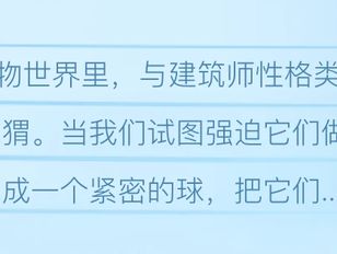 专栏