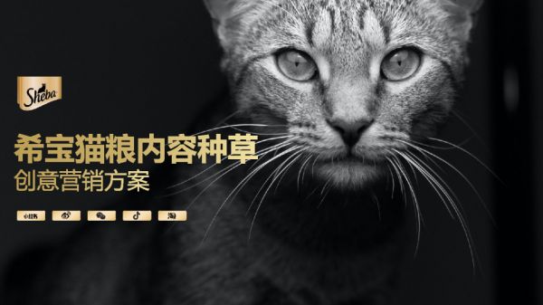 宠物粮品牌全年内容种草创意营销方案