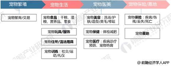 宠物用品1