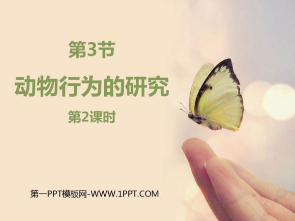 《动物行为的研究》PPT免费课件(第2课时)