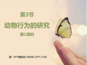 《动物行为的研究》PPT免费课件(第1课时)