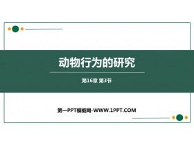 《动物行为的研究》PPT免费课件