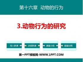 《动物行为的研究》PPT教学课件