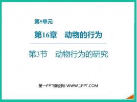 《动物行为的研究》PPT课件下载
