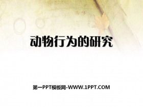 《动物行为的研究》PPT课件