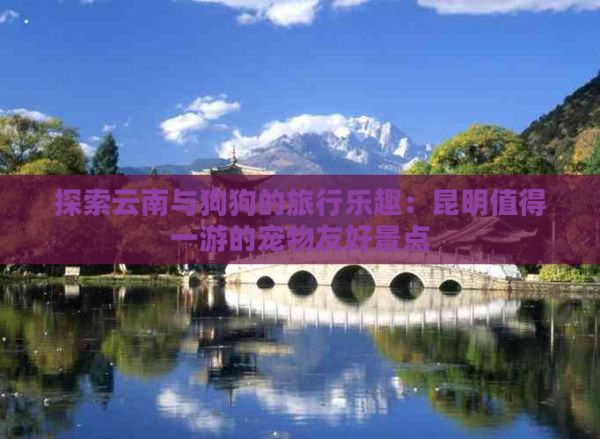 探索云南与狗狗的旅行乐趣：昆明值得一游的宠物友好景点