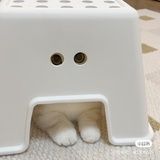 在心