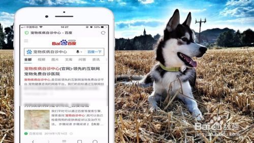 狗狗皮肤病用什么药好