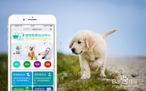 狗狗皮肤病用什么药好