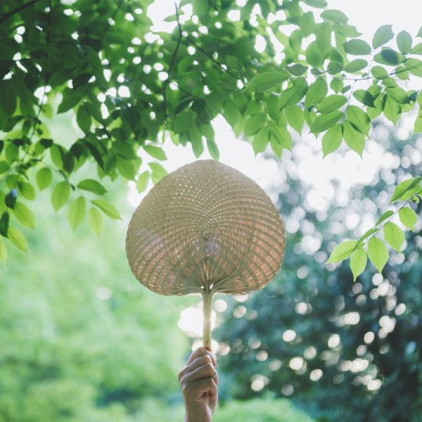 医生头像