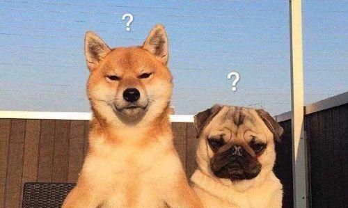 狗狗指甲太长会后肢无力？