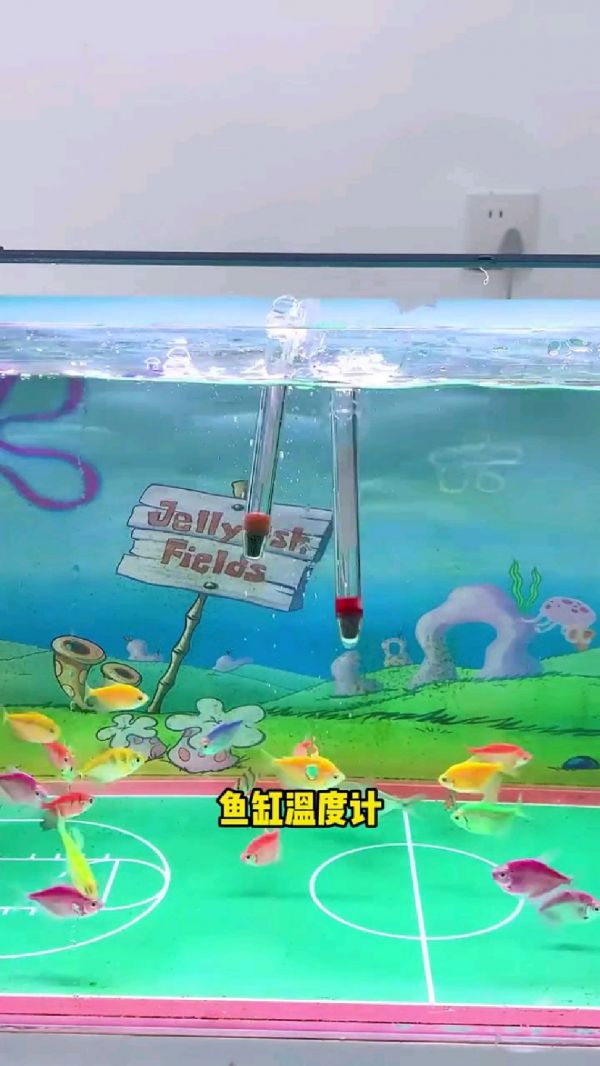 鱼缸专用温度计_智能鱼缸温控器_观赏鱼饲养技巧_鱼缸过滤设备_鱼缸水温保持方法
