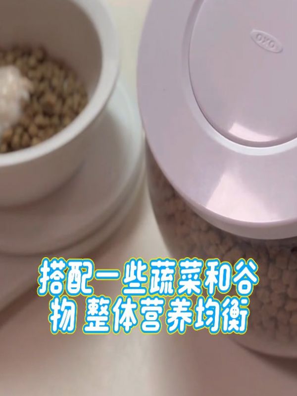 伯纳天纯狗粮特点_皇家狗粮成分分析_双十一狗粮优惠活动_宠物食品品牌排行_双十一购物攻略_宠物食品购买指南_狗粮性价比比较_伯纳天纯与皇家狗粮对比评测_宠物狗营养需求_双十一宠物食品折扣信息