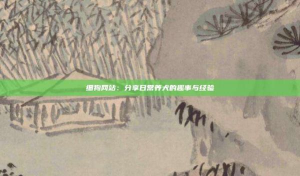 细狗网站:分享日常养犬的趣事与经验
