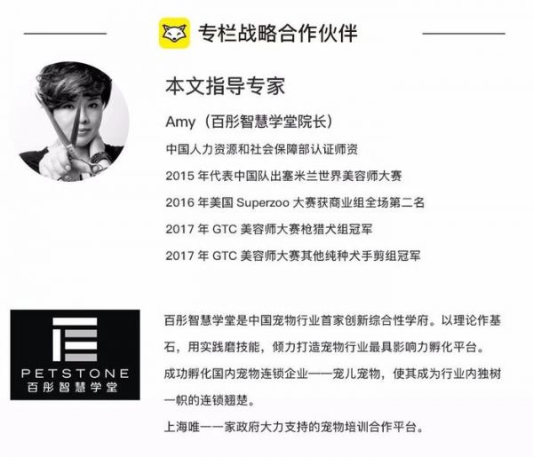 爱妖经大数据 | 中国宠物护毛素使用情况调研报告