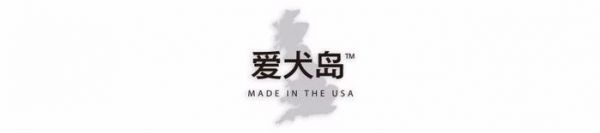 爱妖经大数据 | 中国宠物护毛素使用情况调研报告