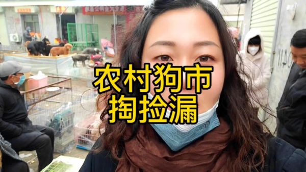 #宠物 #萌宠 #狗狗 #热门 #关注我持续更新 你喜欢什么品种