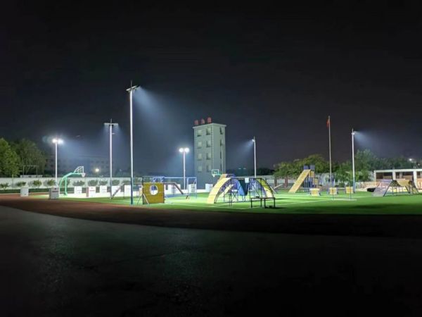 703.jpg