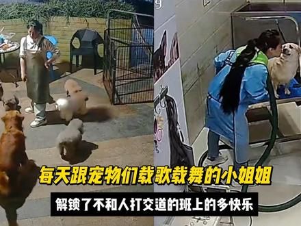 每天和狗狗载歌载舞的小姐姐，解锁了不跟人打交道的班上的多快乐 #宠物美容师 #动物的迷惑行为 #萌宠出道计划 #狗狗 #狗狗的心思都写在脸上了