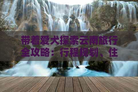 带着爱犬探索云南旅行全攻略：行程规划、住宿、景点推荐及注意事项