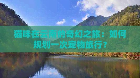 猫咪在云南的奇幻之旅：如何规划一次宠物旅行？