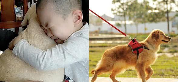 狗狗走丢5天后自己回家,3岁宝宝抱着它嚎啕大哭,妈妈泪崩