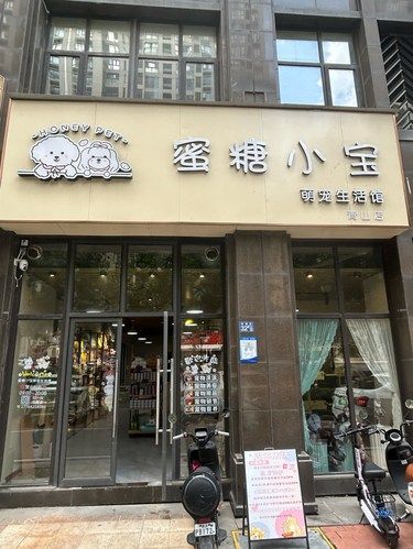 宠物美容专家来啦