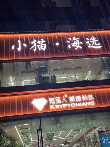 在撸串和撸铁之间❗️一起来撸猫吧