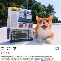 游泳、下海、捕鱼…这猫怕不是狗子投错胎？！