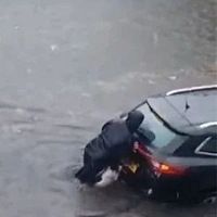 铲屎官暴雨里帮人推车，狗狗居然也伸出小爪爪，好可爱！
